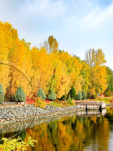 Продаж Будинку біля Київського Моря Старі Петрівці