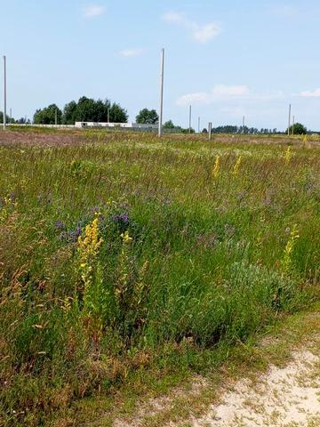 Ясногородка, Вишгородський, Київська область 13000 USD