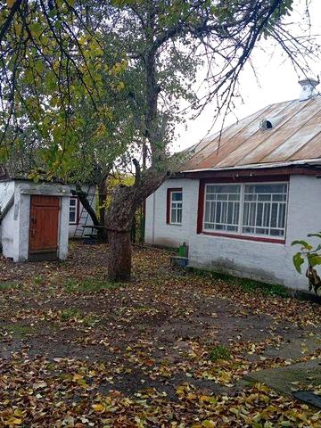 Продаж будинку с. Костянтинівка