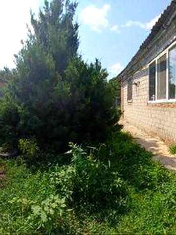 Будинок з земельною ділянкою (приватизовано)