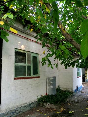 Василівська, 5