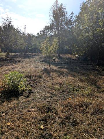 Продам/обміняю дачу, мічурінець
