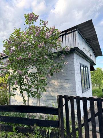 Продамо дачу «Рябінушка»