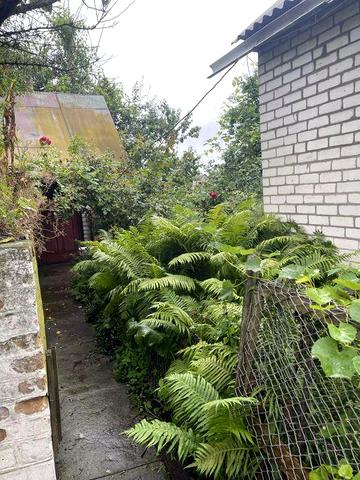 Продам цегляний будинов в селищі Нова.  Борова. 50 км від Житомира