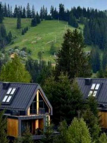 Скогур skogur Віп котедж преміум класу в районі Буковелю