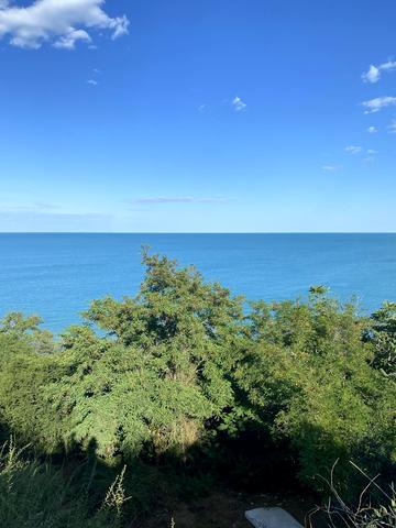 Василя Симоненка вул.