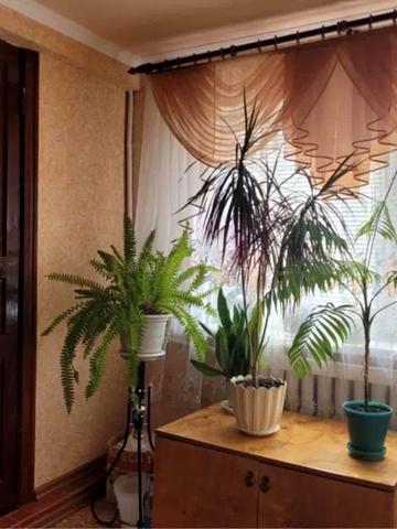 В Звенигородська