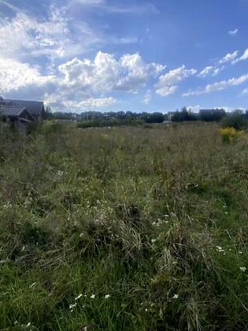 Данила Нечая