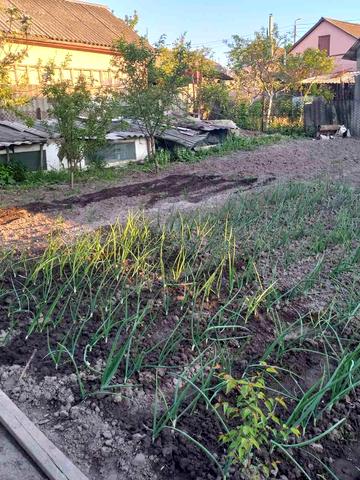 Шевченка, 25