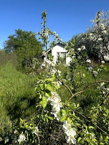 Пороскотень, Бучанський, Київська область 16500 USD