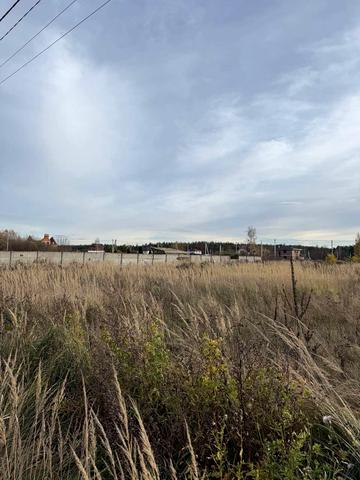 Івана Франка