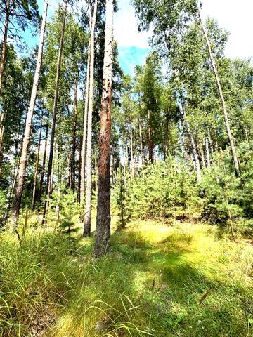 Березівка, Бучанський, Київська область 12000 USD