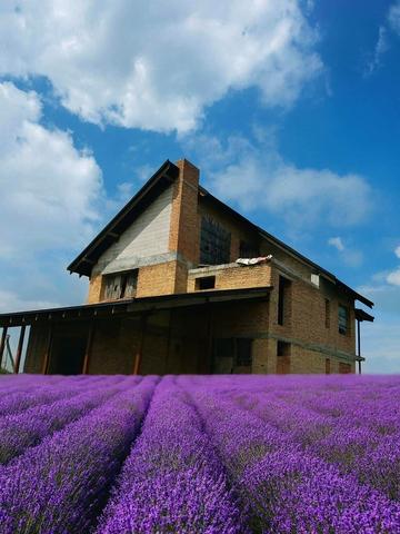 Смарагдова