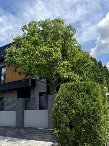 Будинок на Дослідній станції