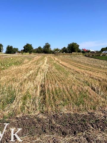 Зелена вул.