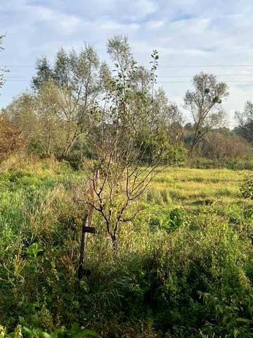 Галицька вул.