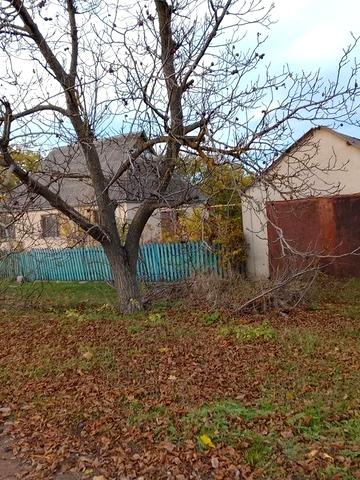 Продам будинок в Одеській області Любашовский райьоні село Іванівка