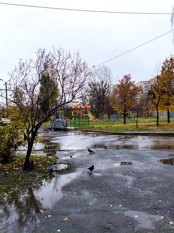 Селянська вул., 24