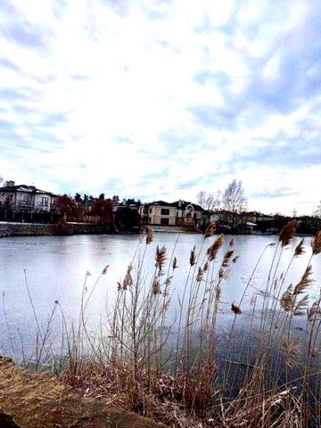 Оренда будинку Козин