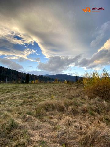 Микуличин, Надвірнянський, Івано-Франківська область 190000 USD