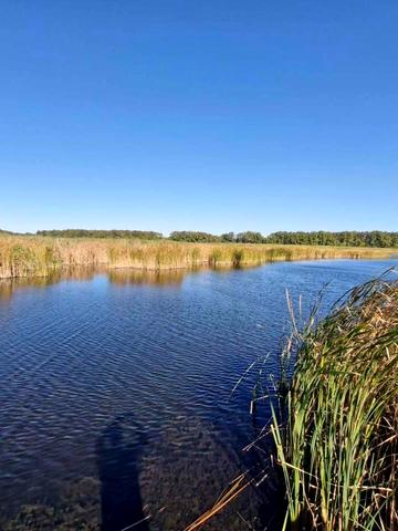 Українська