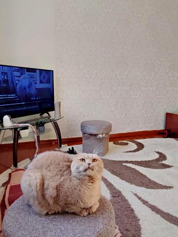 Винниченка вул., 4