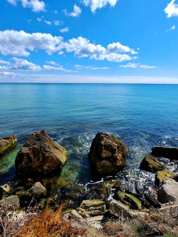 лесі Українки