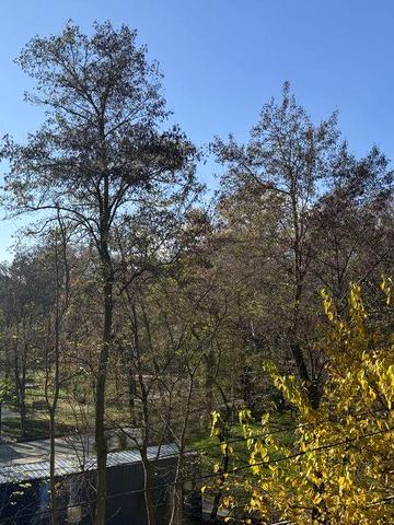 Продам квартиру с видом на парк. ЖК «Лидерсовский». Срочно ЖК Лидерсовский