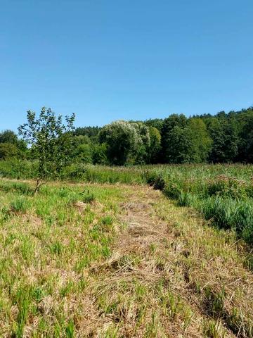 Лишня, Фастівський, Київська область 31000 USD