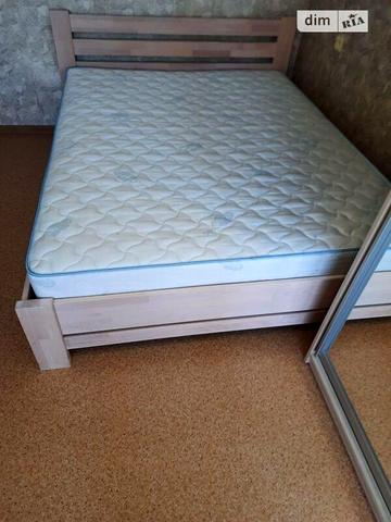 Довгострокова оренда 1к Квартира Європейська (Новгородська) вулиця