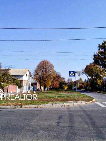 Юрія Шевельова вул. (Червоного Льотчика)