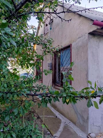 Гвоздичная