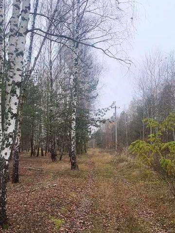 Калинівка, Бучанський, Київська область 39150 USD