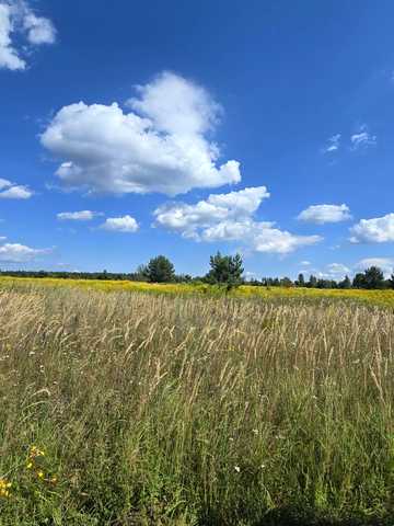 Старі Петрівці, Вишгородський, Київська область 10000 USD
