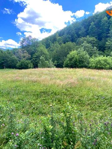 Яремче, Надвірнянський, Івано-Франківська область 44000 USD