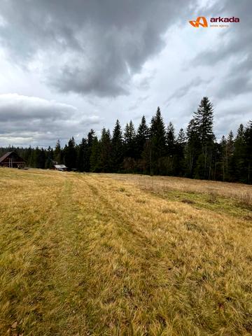 Микуличин, Надвірнянський, Івано-Франківська область 155000 USD