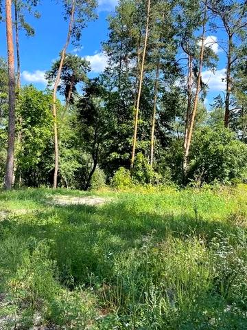 Хлепча, Фастівський, Київська область 325000 USD