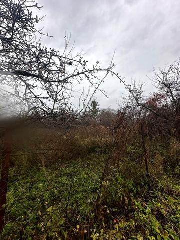 Рудне, Львівський, Львівська область 19000 USD