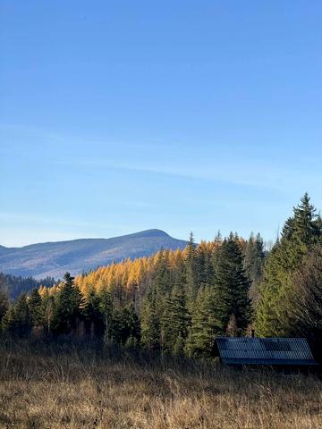 Микуличин, Надвірнянський, Івано-Франківська область 191000 USD
