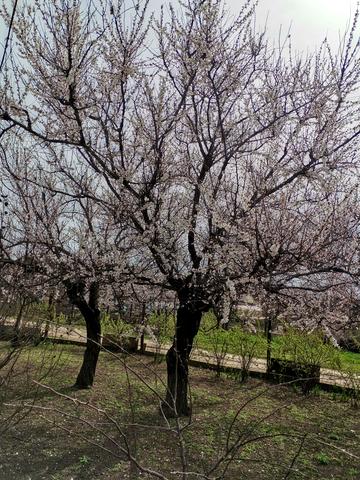 Пересадівська вул., 2