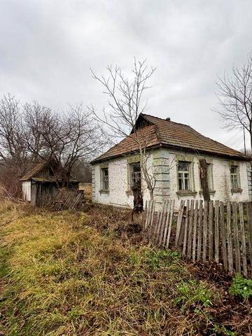 Продам будинок в селі біля лісу