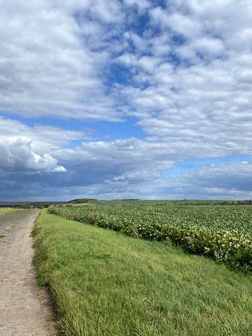 Колоденка, Рівненський, Рівненська область 52000 USD