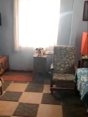 Квартира 2х кімнатна 2 Таврійський 57 кВ.м ЖК ОСББ