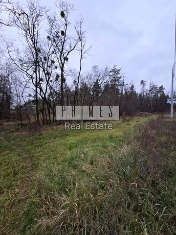 Вишгород, Вишгородський, Київська область 55000 USD