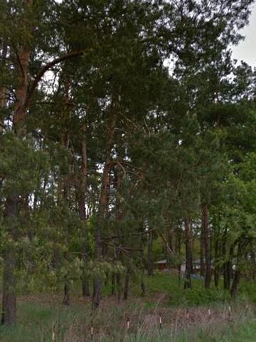 Круглик, Обухівський, Київська область 115000 USD