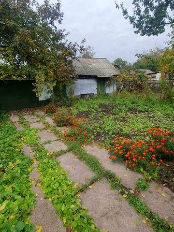 Продам будинок в центрі міста.