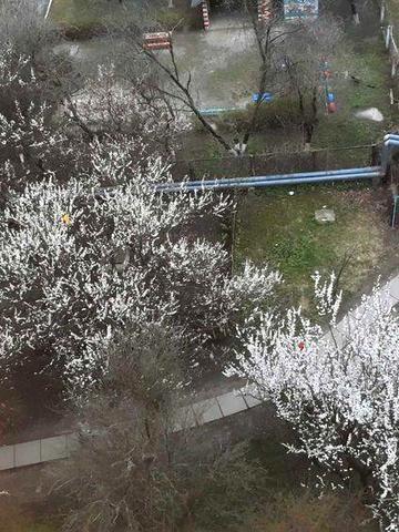 Торгмаш. Право першочергового викупу. Оренда однокімнатної квартири.