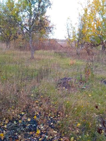 Продам дачу в садовом товариществе