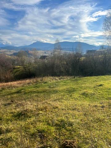 Ясіня, Рахівський, Закарпатська область 56892 USD