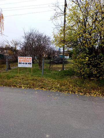 Паркова вул., 31